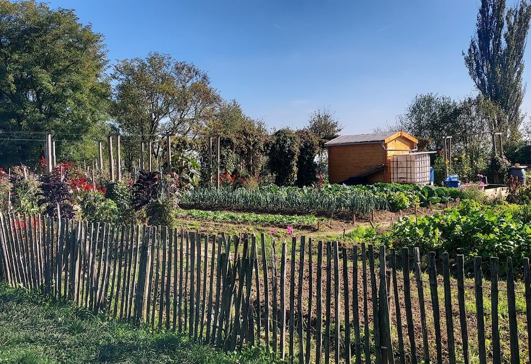 Potager à Partager de Neuilly-Plaisance 3